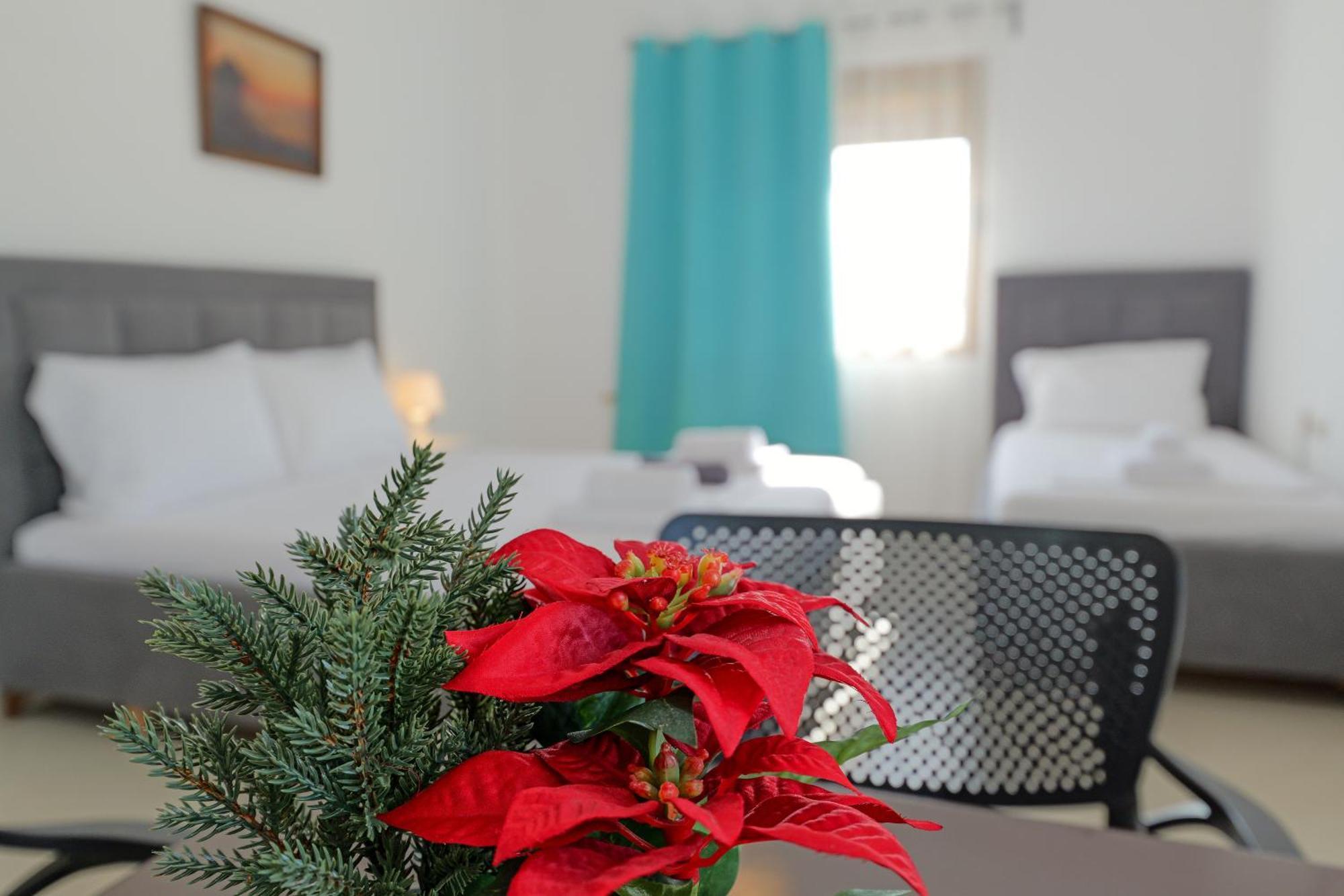 קסאמיל Central Garden Residence Sofia - Free Parking מראה חיצוני תמונה